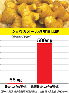 発酵 高知県産 黄金しょうが粉末（おうごんしょうがふんまつ）　株式会社龍泉堂