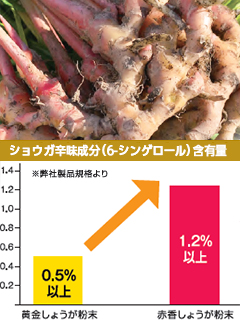 高知県産 赤香しょうが粉末（せっこうしょうがふんまつ）