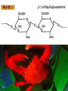 キトサン　株式会社キミカ