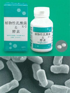 植物性乳酸菌K-2＆酵素　株式会社 華コーポレーション