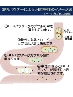 GFR-パウダー®（Ｎ）　森永乳業株式会社