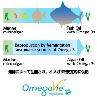 島貿易株式会社　Omegavie DHA algae 微細藻類DHAオイル 【SDGs対応】【植物性】