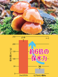 フォリテクト®（PHOLITECT）　株式会社高研