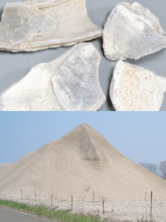 風化貝化石カルシウム粉末（北海道八雲町産 風化貝化石由来）　株式会社北国生活社