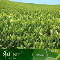 丸善製薬株式会社（薬粧部） 和ism ®<宇治茶>