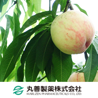 丸善製薬株式会社（薬粧部）　山梨モモ葉抽出液BG30