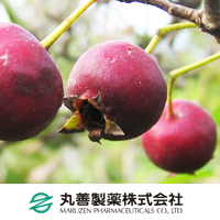 丸善製薬株式会社（薬粧部）　ヘアプローズ™＜サンザシ＞
