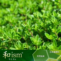 丸善製薬株式会社（薬粧部）　和ism®<ワイルドタイム>