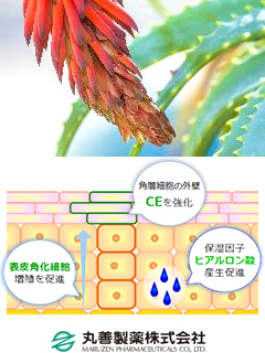 和ism®<沖縄アロエベラ>　丸善製薬株式会社（薬粧部）