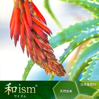 丸善製薬株式会社（薬粧部）　和ism®<沖縄アロエベラ>