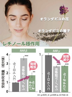バクチオールピュアプラス［植物レチノール化粧品原料］　一丸ファルコス株式会社
