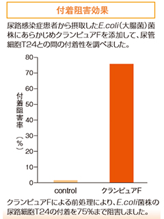 クランピュアF