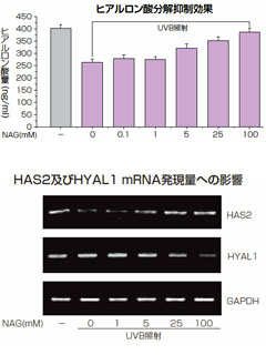 Bio-NAG®　ビーエイチエヌ株式会社