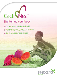 Cacti Nea™(カクティネア)