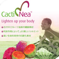 ネキシラ株式会社 Cacti Nea™(カクティネア)