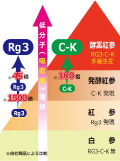 酵素人参