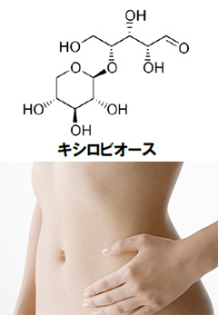 キシロオリゴ糖　株式会社アグロケミ