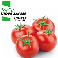 ヴィディヤジャパン株式会社（Vidya Japan K.K.） ナチュラルリコピン