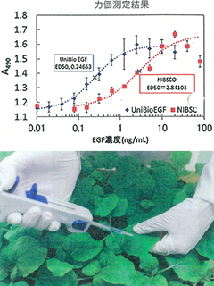 植物由来ヒトオリゴペプチド-Uni　株式会社メディカルラボ