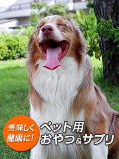 ペット犬猫用おやつ、サプリOEM