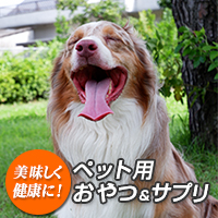 株式会社 ユナイテッド エフ・ビー・エス　　ペット犬猫用おやつ、サプリOEM