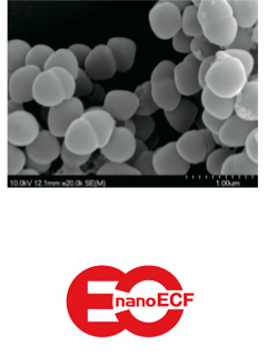 乳酸菌nanoECF