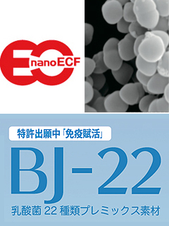 乳酸菌nanoECF、BJ-22（乳酸菌22種類プレミックス素材）【 OEM製造 】