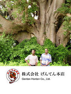 バオバブオイル（Baobab Oil）　株式会社げんてん本店