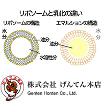 株式会社げんてん本店 リポソームビタミンC（Liposomal Vitamin C）
