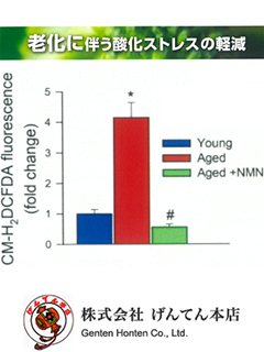 NMN（ニコチンアミド・モノ・ヌクレオチド）