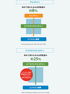 N-アセチルグルコサミン（ヒアルログルコ®）