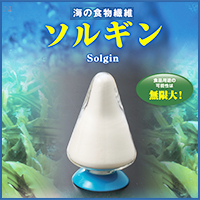 カイゲンファーマ株式会社 ソルギン（Solgin)