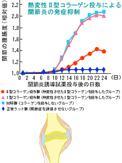 II型コラーゲン