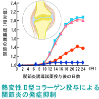 日本ピュアフード株式会社　II型コラーゲン