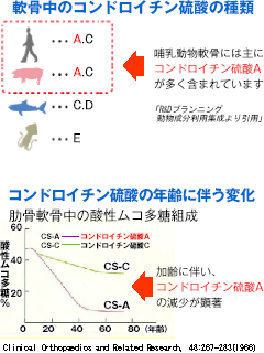 コンドロイチン硫酸