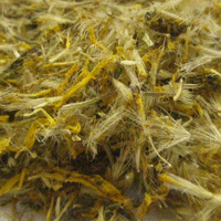 【Dry Herb】アルニカ フラワー ホール WH KBA