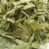 【Dry Herb】グァバ葉 カット大 CUT