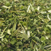 【Dry Herb】スカルキャップ カット CUT