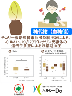チコリー根焙煎粉末　一般社団法人北海道バイオ工業会（ヘルシーDo）