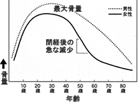 年齢による骨量の変化