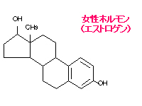 女性ホルモン（エストロゲン）の構造