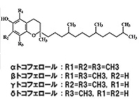 トコフェロールの種類と構造