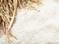ライスセラミドは、米ぬかを抽出・精製したエキス粉末。