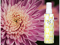 「菊の露 保湿化粧水」菊の花にはお肌を整える効果有り。