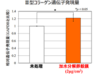 加水分解卵殻膜は、III型コラーゲン遺伝子の発現を高めた