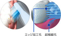 超極細毛とエッジ加工毛の「ダブル　メリットブラシ」
