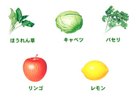 苦味や臭みを抑え、トロっとしたのどごしに仕上げています