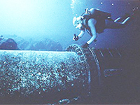 海洋深層水で大量培養している唯一のスピルリナです。