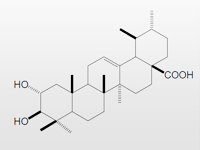 有効成分コロソリン酸は、Tie2活性化作用、血流促進作用を有します。