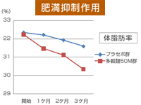 多穀麹®50Mは、体脂肪蓄積を抑制。